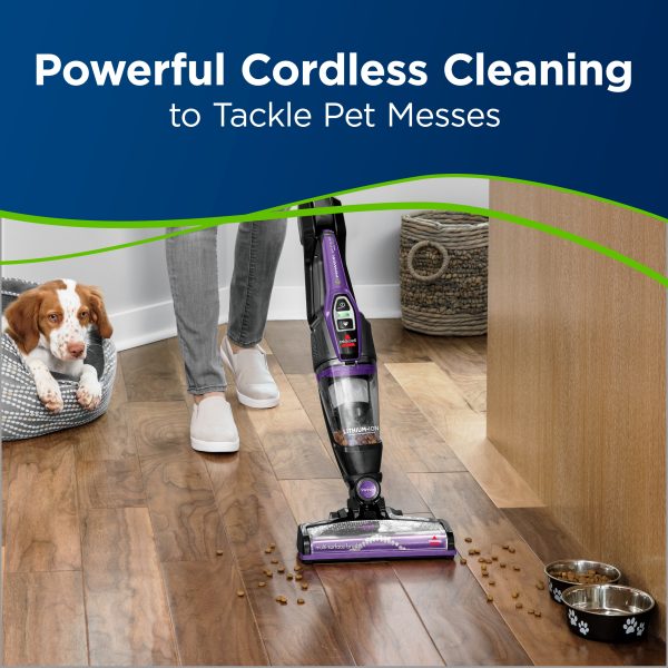PowerLifter Ion Pet Cordless Stick Vacuum 3191
