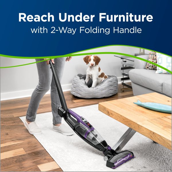 PowerLifter Ion Pet Cordless Stick Vacuum 3191