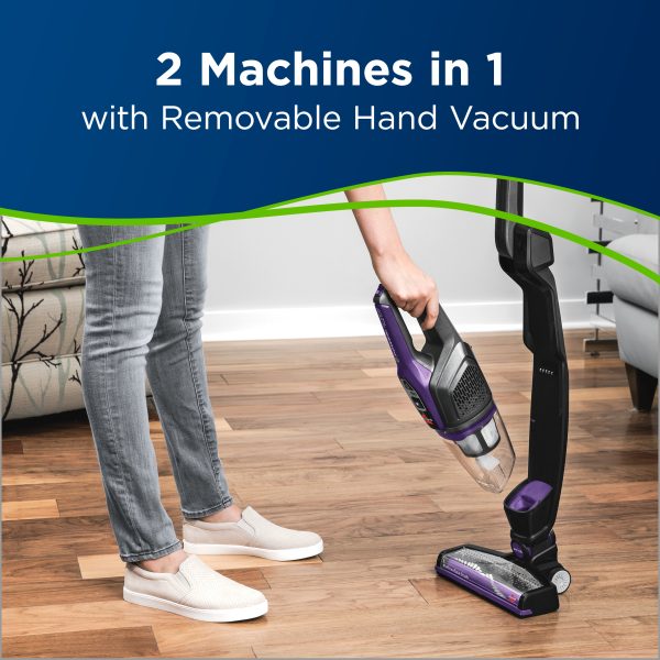 PowerLifter Ion Pet Cordless Stick Vacuum 3191