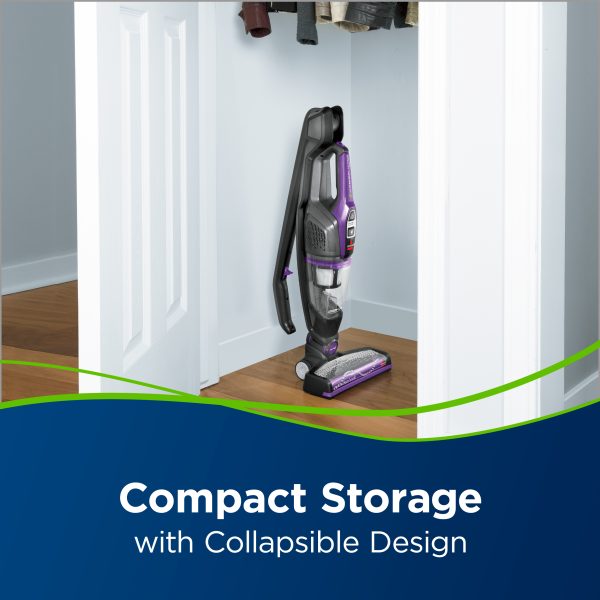 PowerLifter Ion Pet Cordless Stick Vacuum 3191